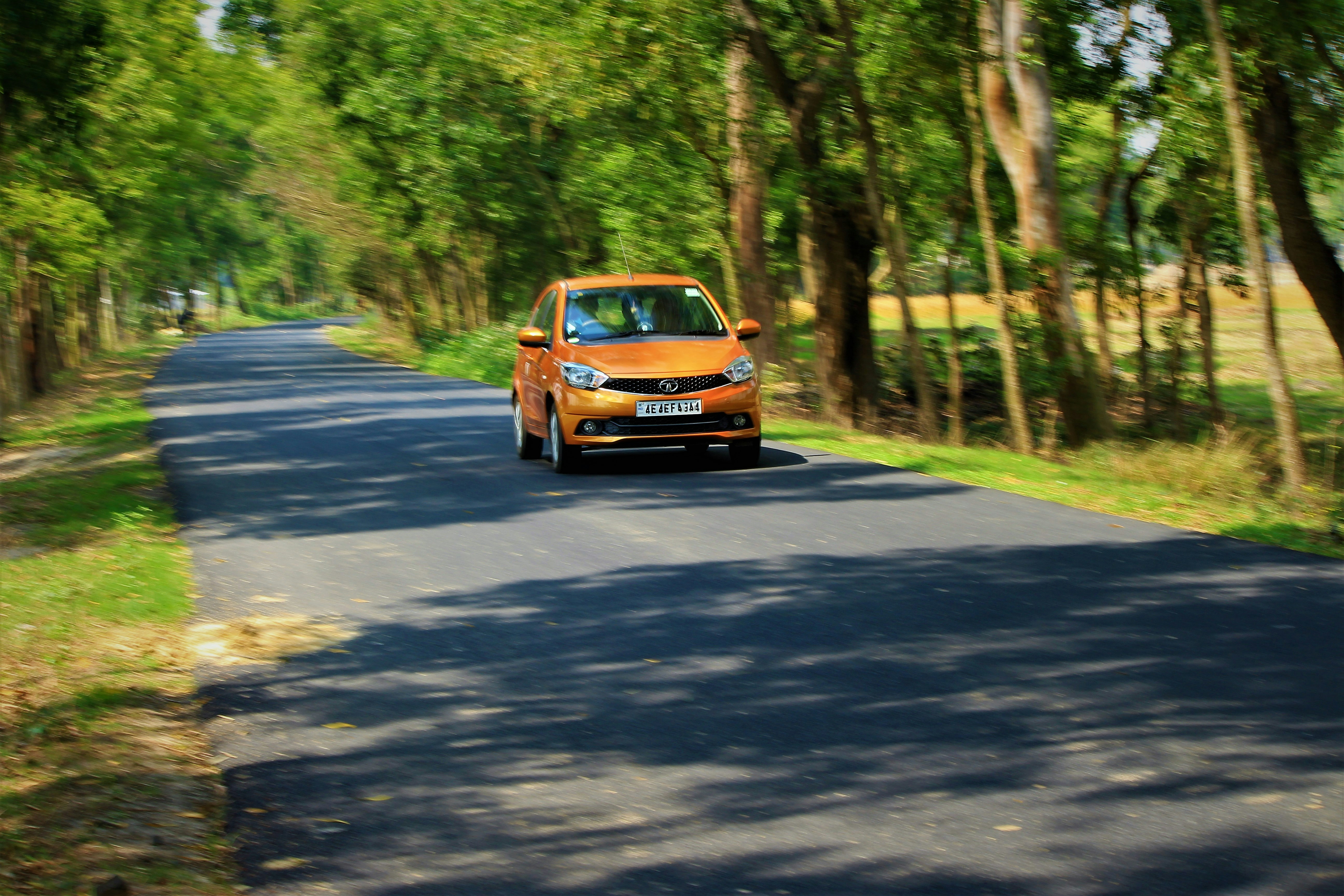 Auto blu e arancione sulla strada