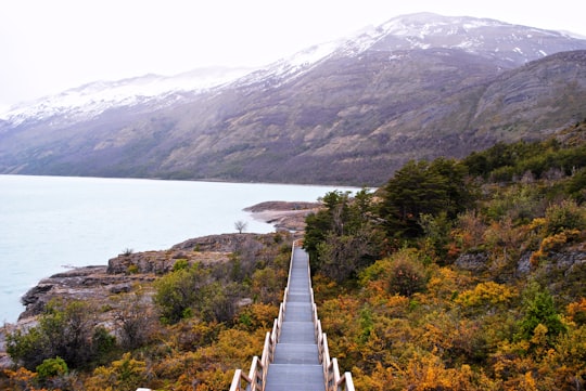 white wooden bridge on lake near green mountains during daytime in El Calafate Argentina