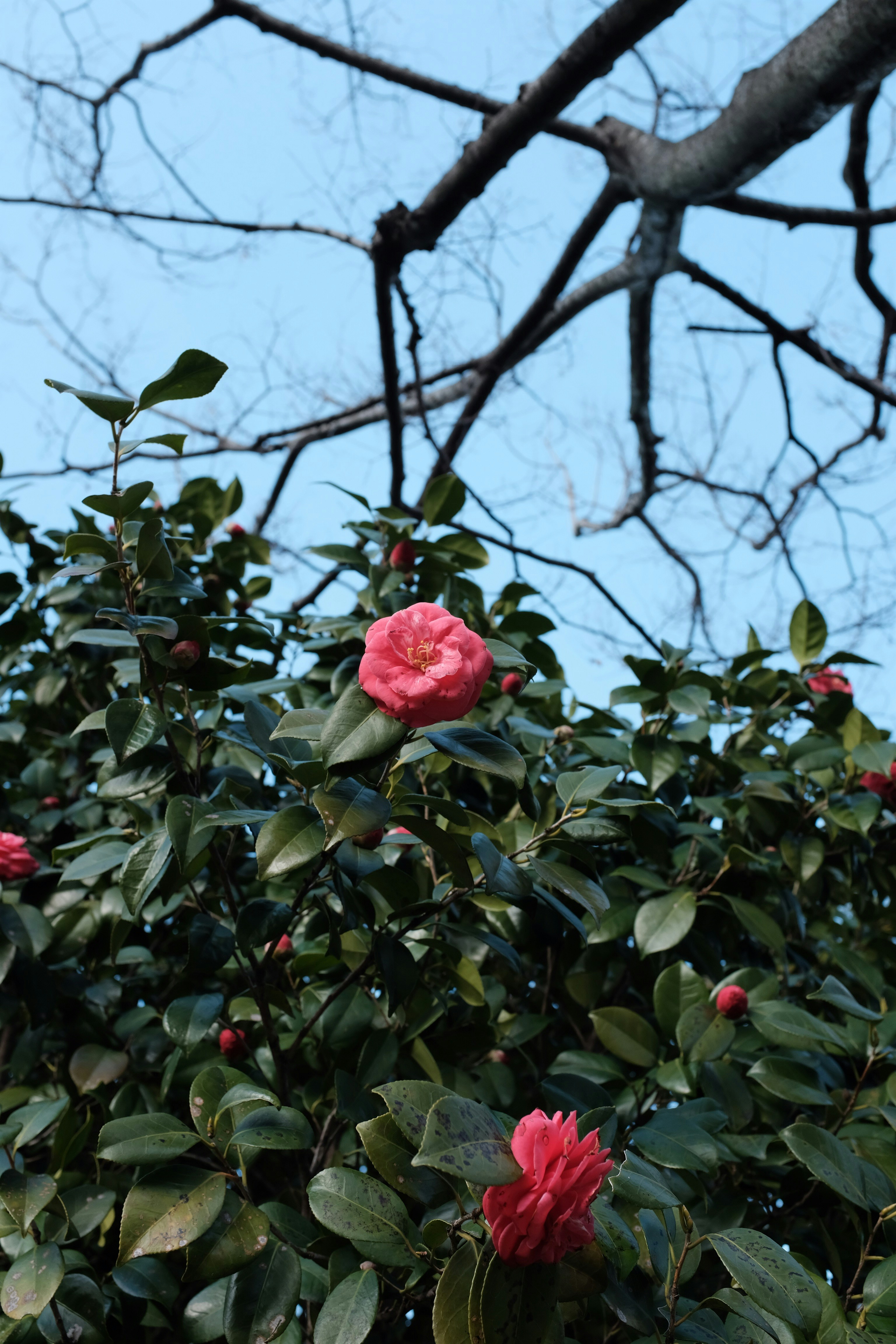 Photo by mak_jp