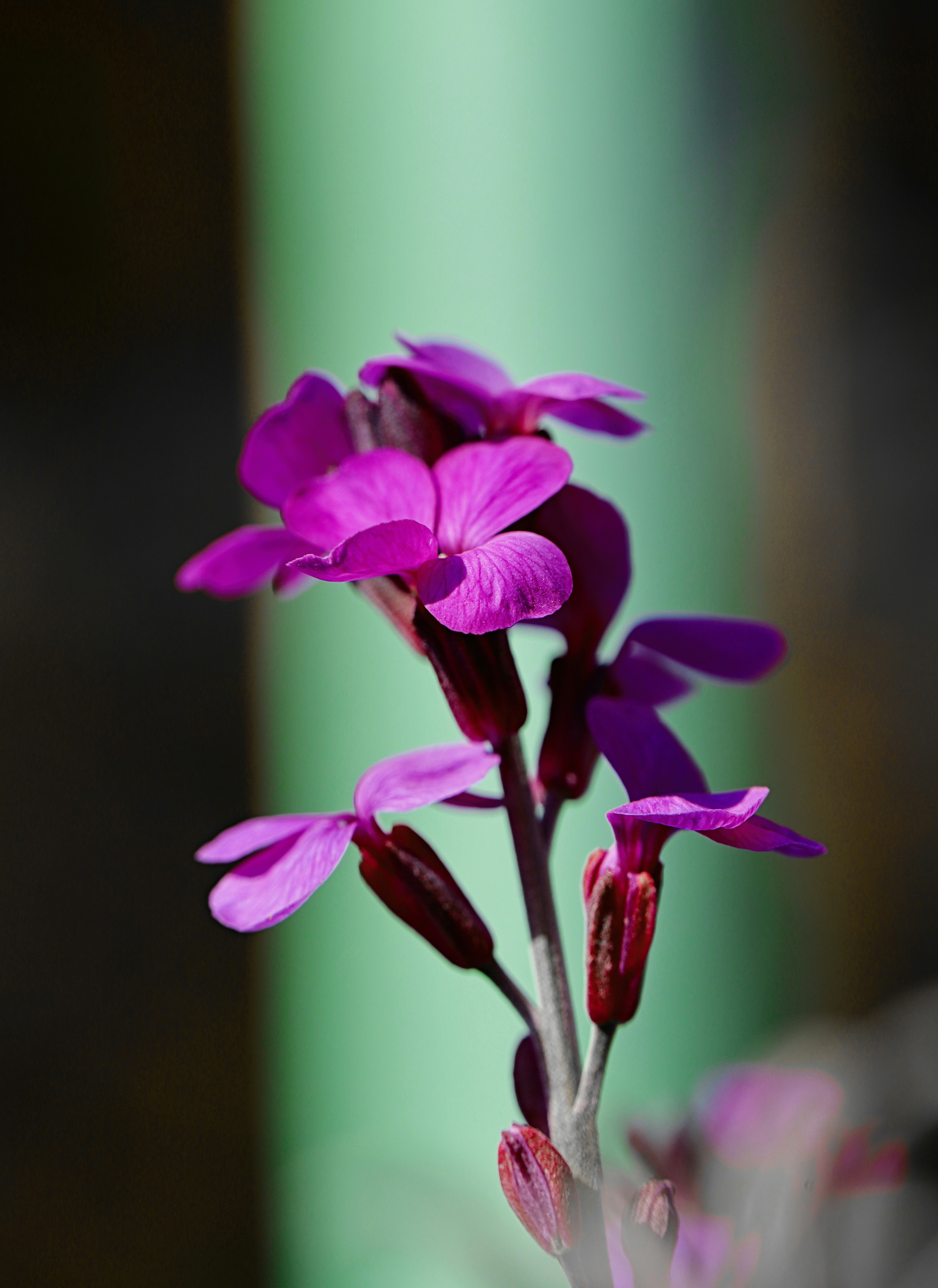 Photo by grievek1610begur