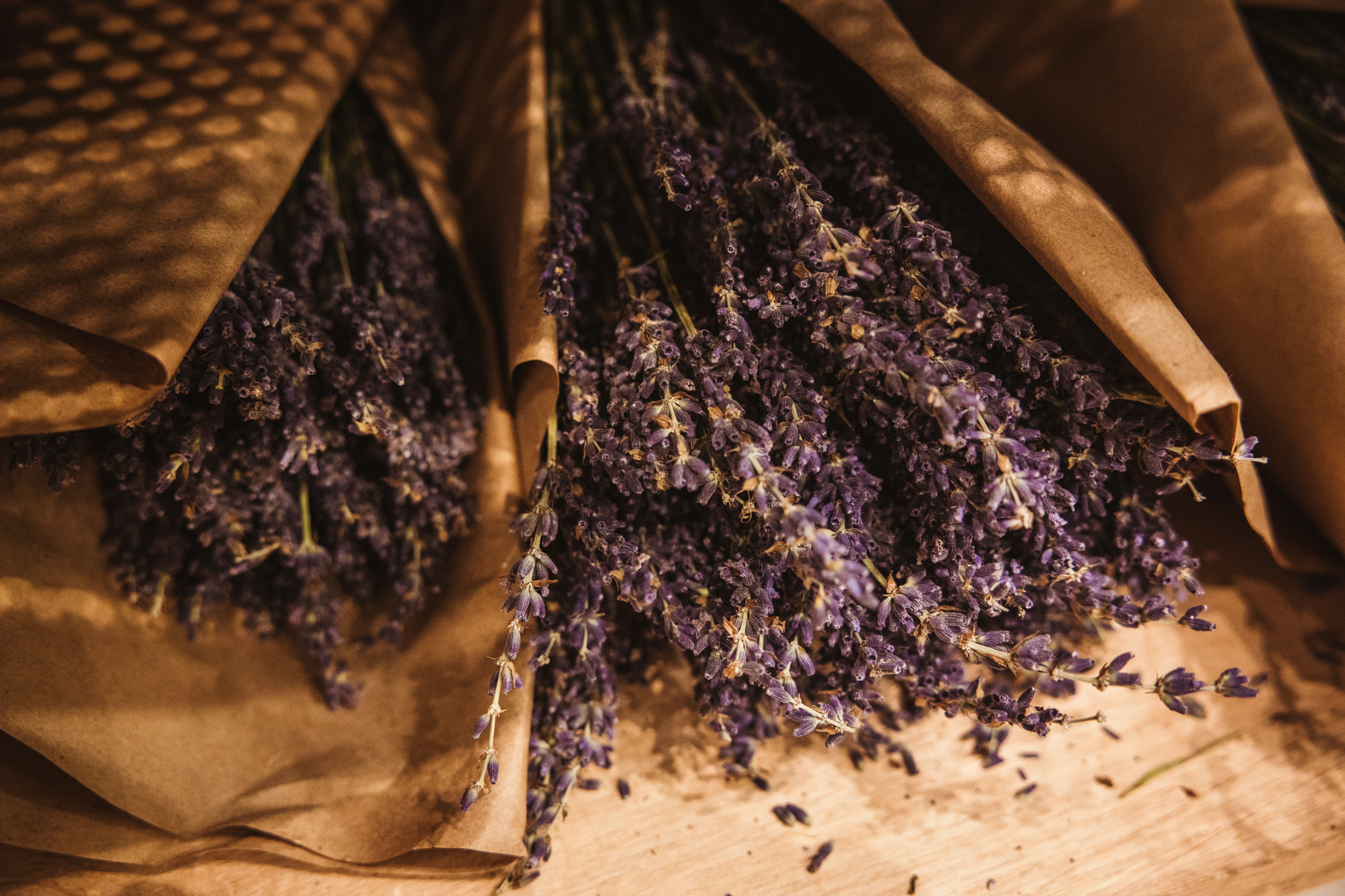 Wildcrafted Lavender Bundle