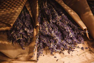 Artistic flat lay of Violetaura's purple packaging alongside fresh lavender sprigs