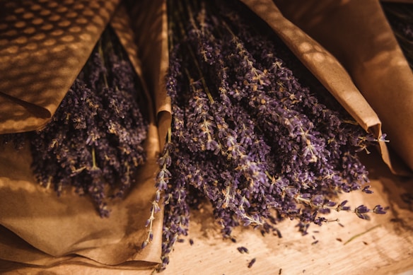 Bundles of dried lavender wrapped in brown paper, resting on a wooden surface. The rich purple hues of the lavender contrast with the earthy tones of the paper and wood.
