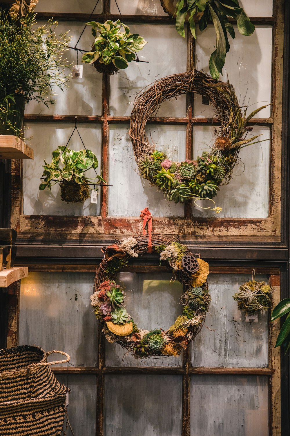 green and brown wreath on window
