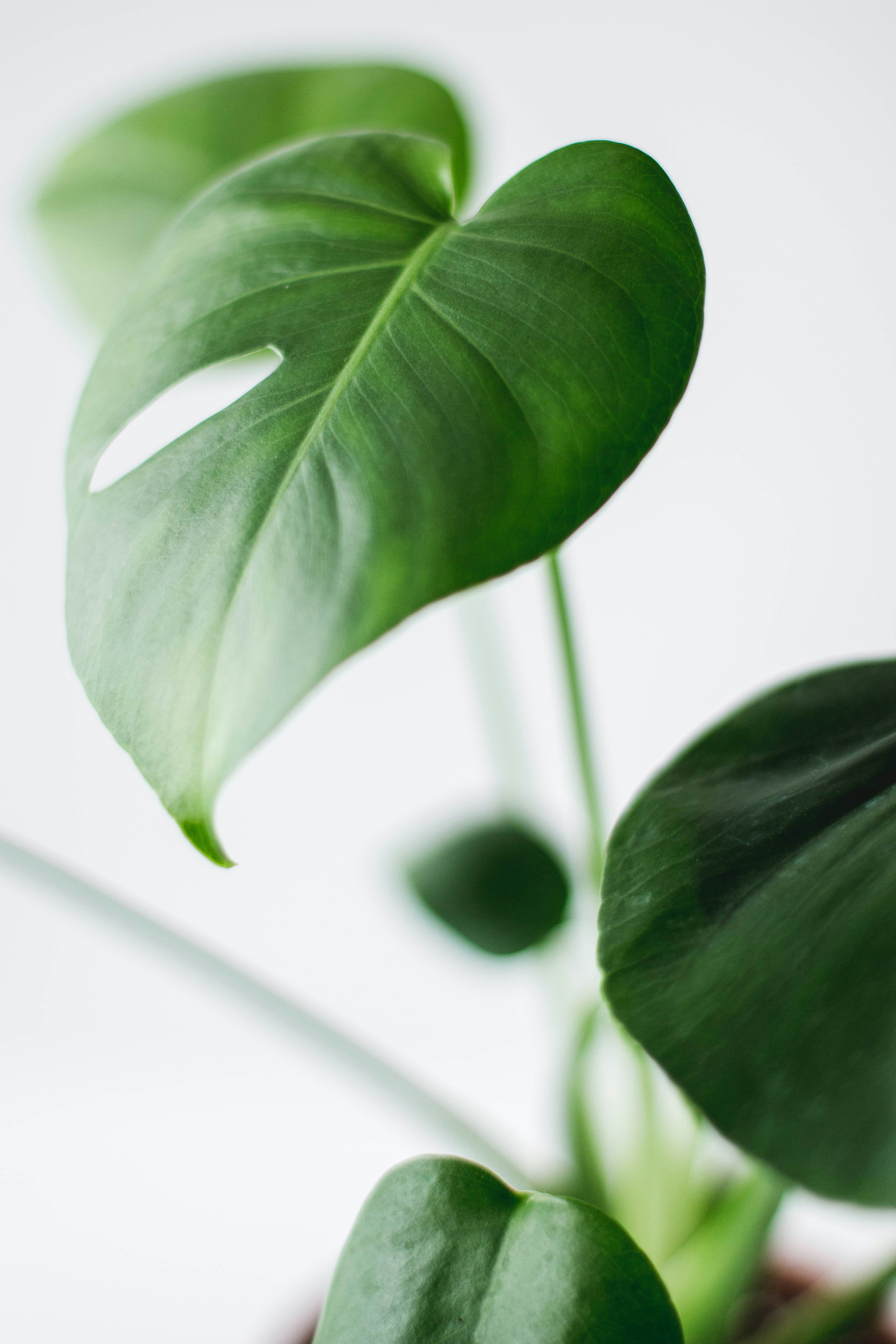 Photo by denimandrain