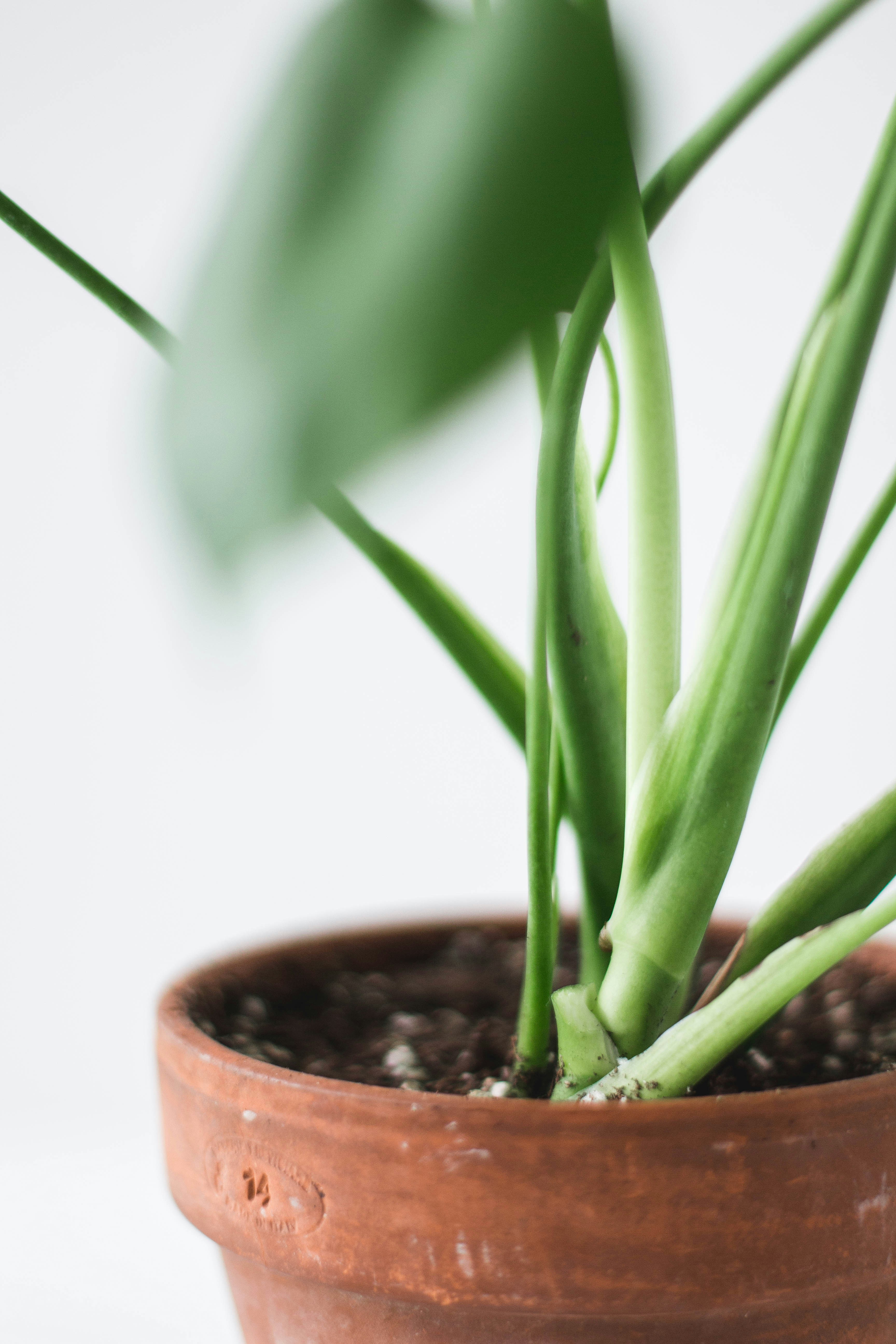 Photo by denimandrain