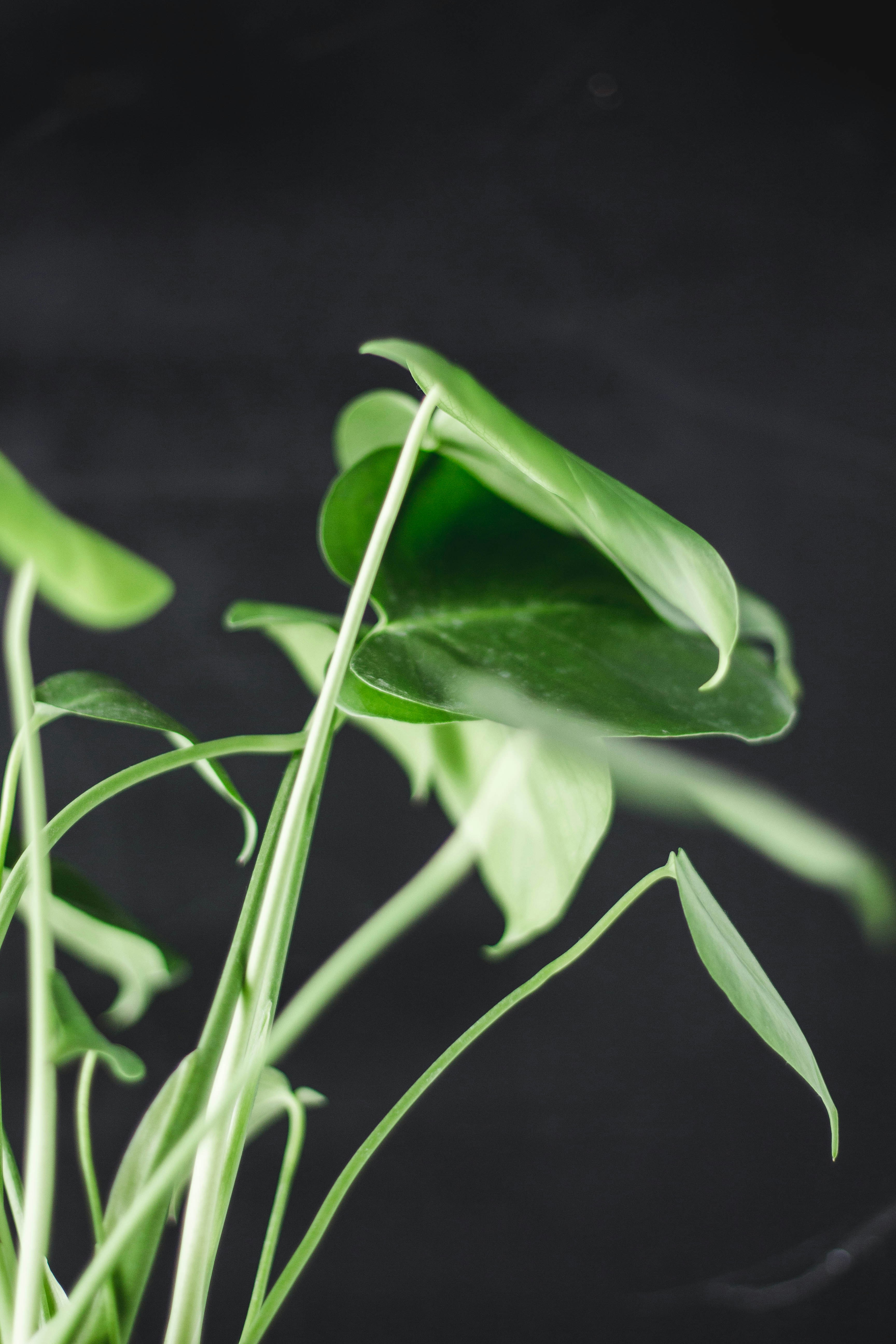 Photo by denimandrain