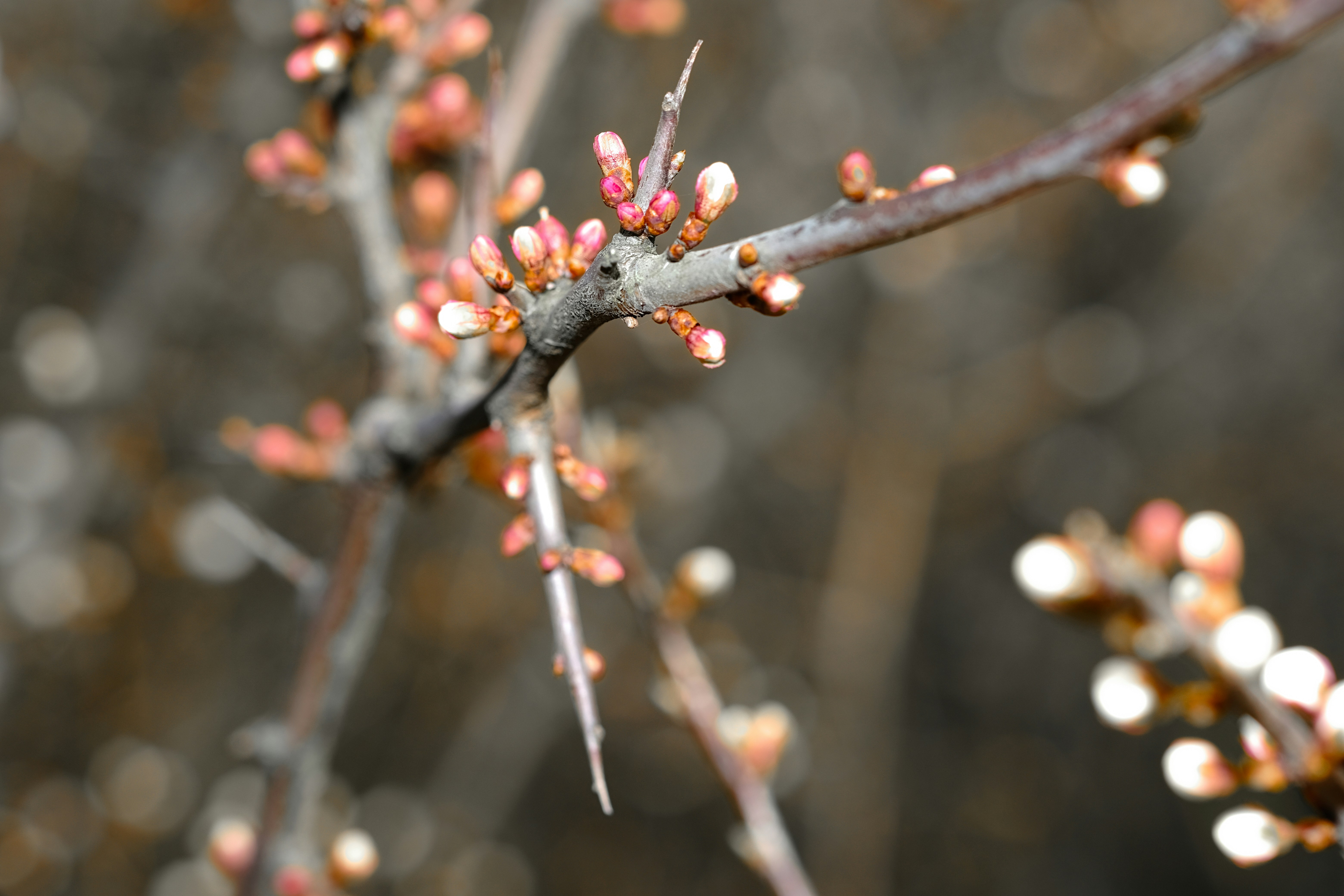 Photo by grievek1610begur