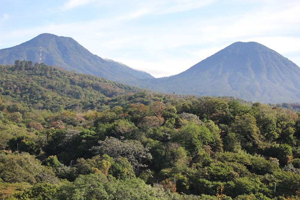 green trees near mountain under white clouds during daytime