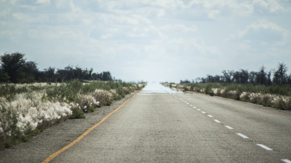 gray asphalt road between green trees under white clouds during daytime