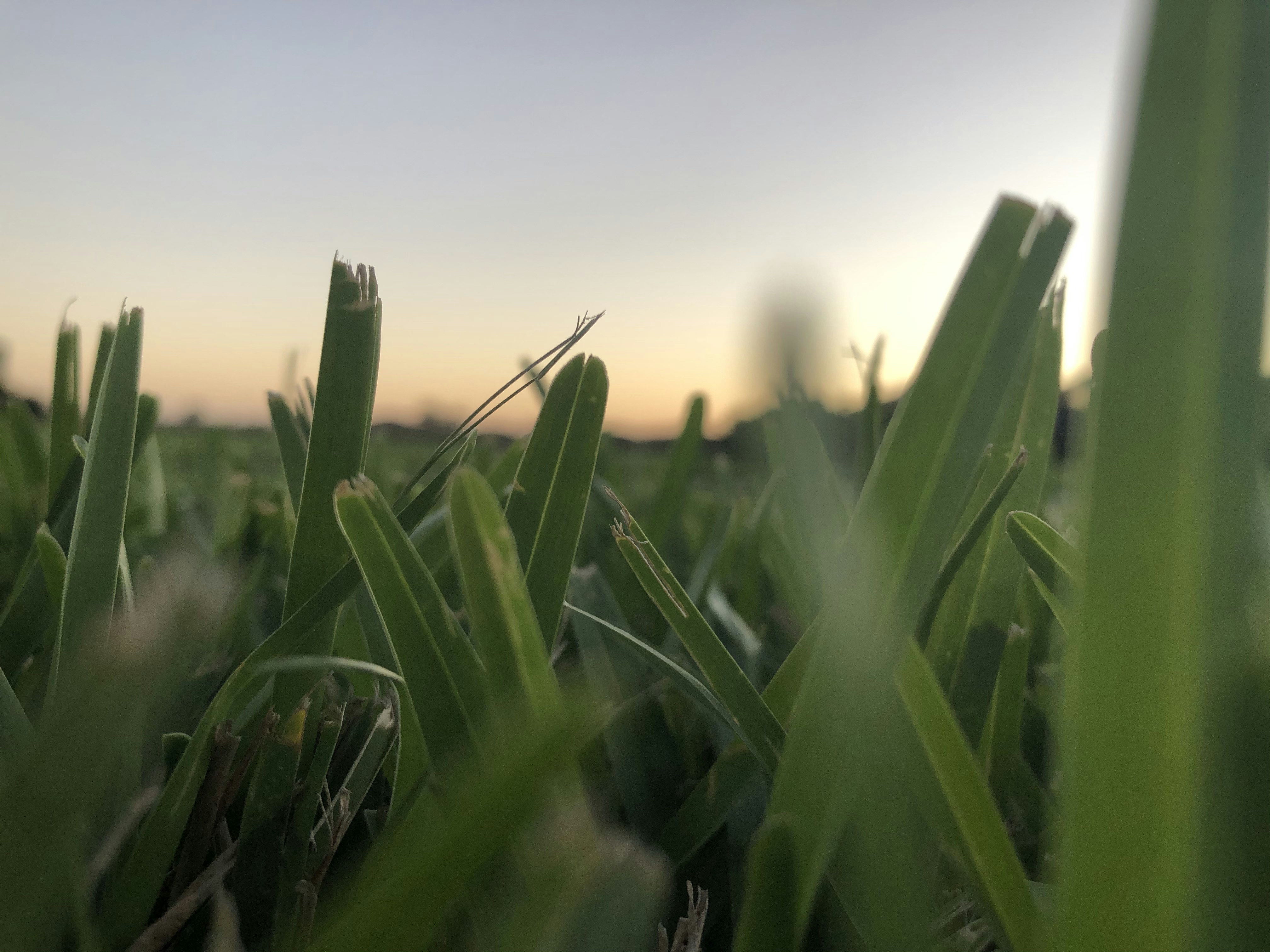 Photo by vp2552