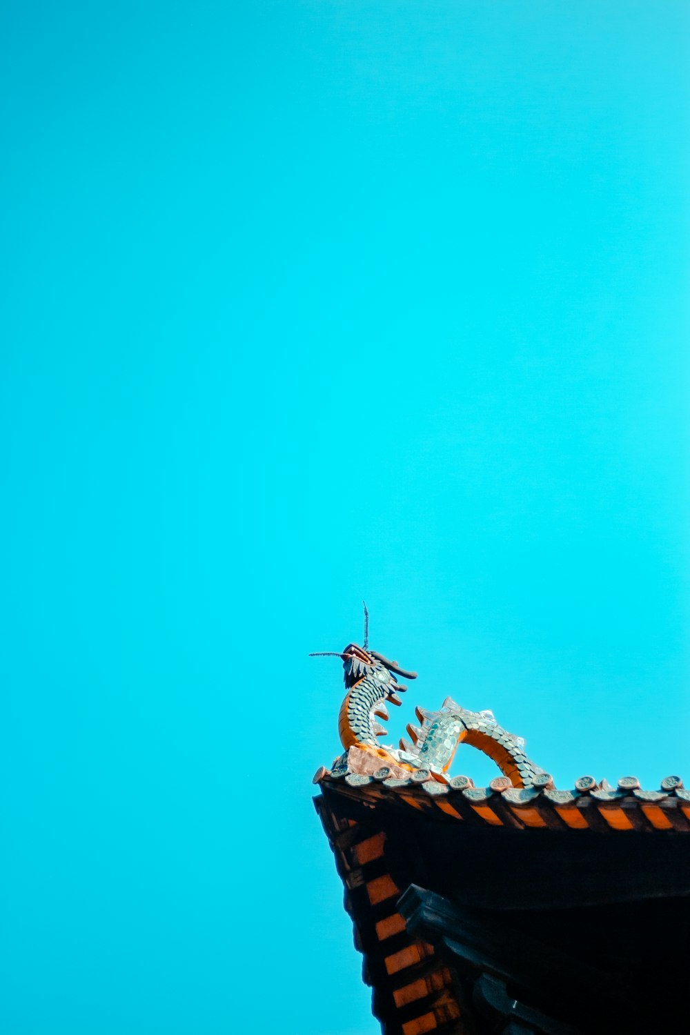 brown and white bird flying under blue sky during daytime