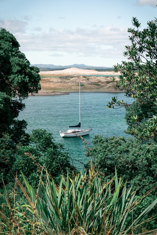 photo of Mangawhai Heads Shore near Te Arai