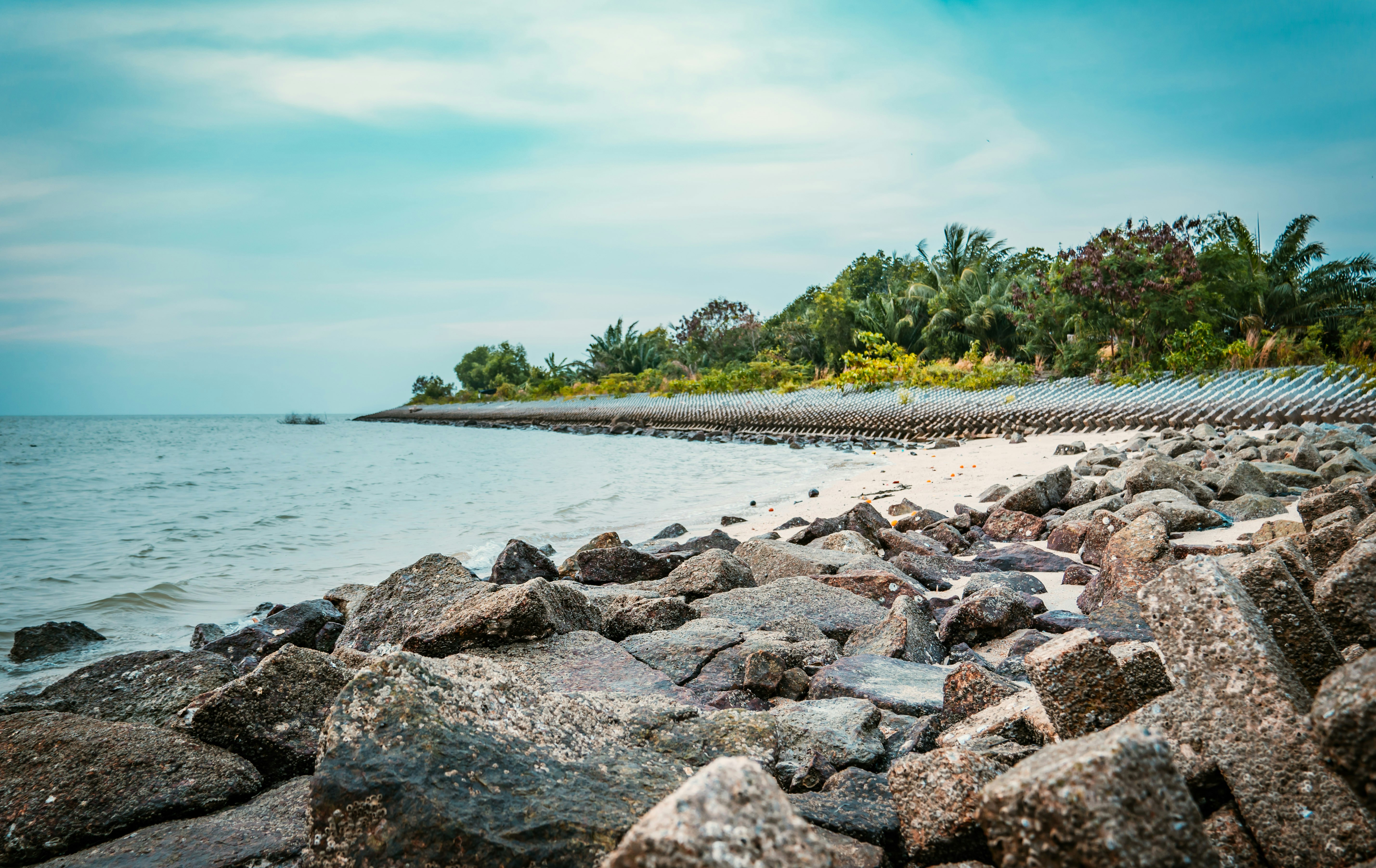 Photo by ngjiesuang94