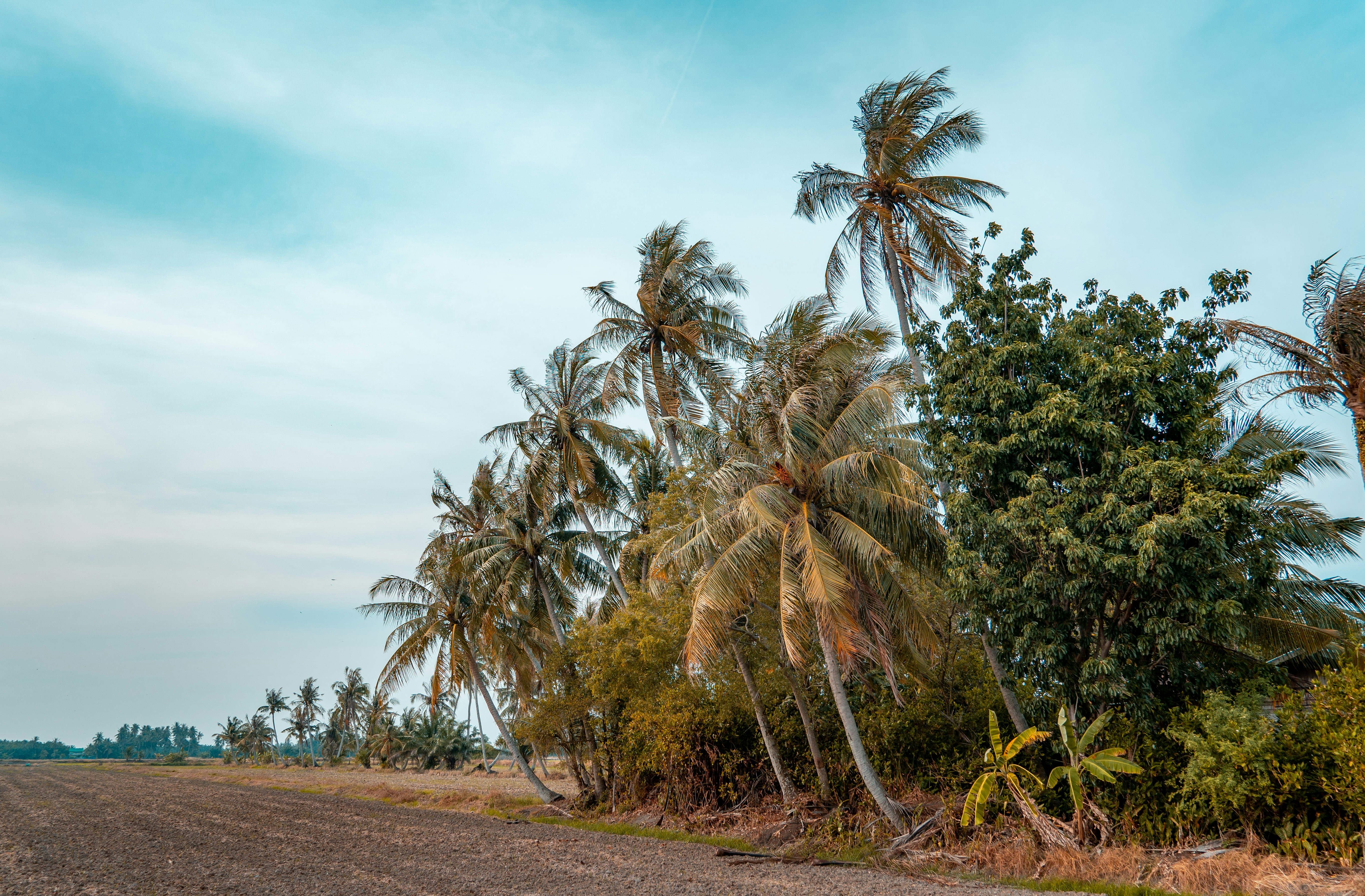 Photo by ngjiesuang94