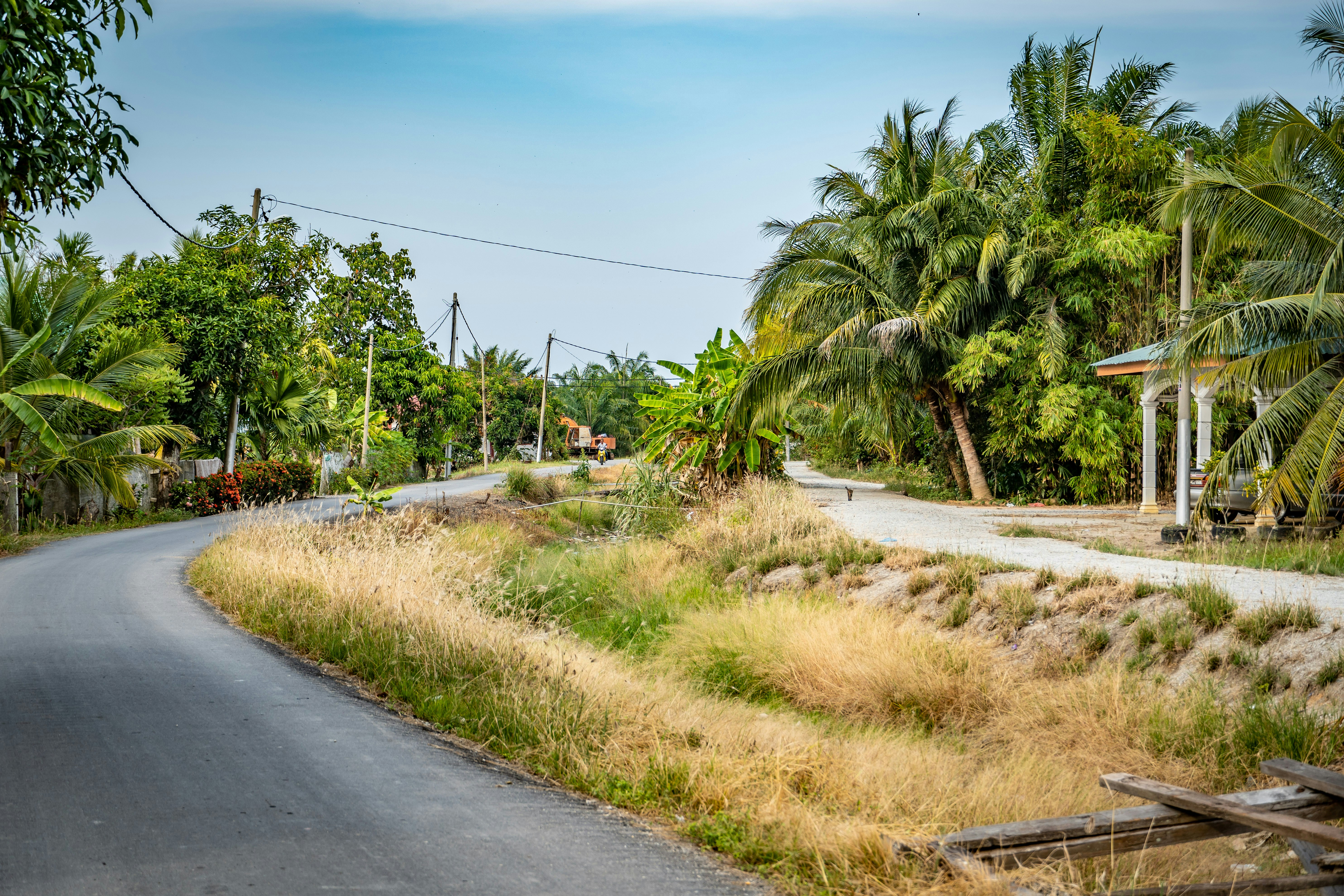 Photo by ngjiesuang94