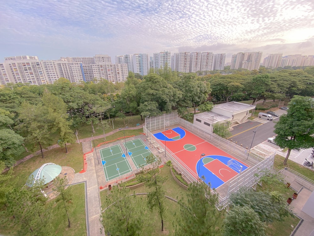 aerial view of green trees and green grass field during daytime