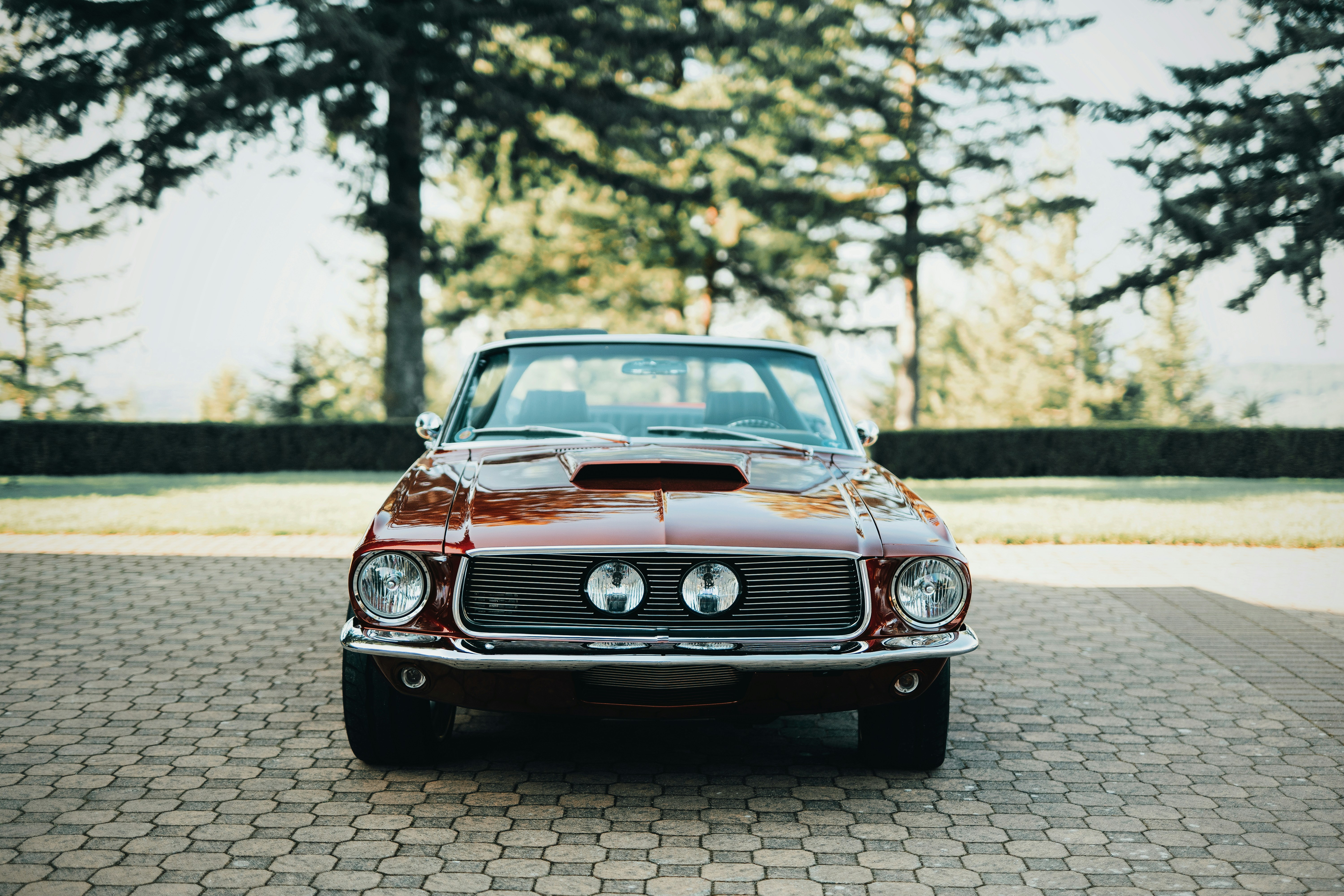 Photo by alekskuprfilmz