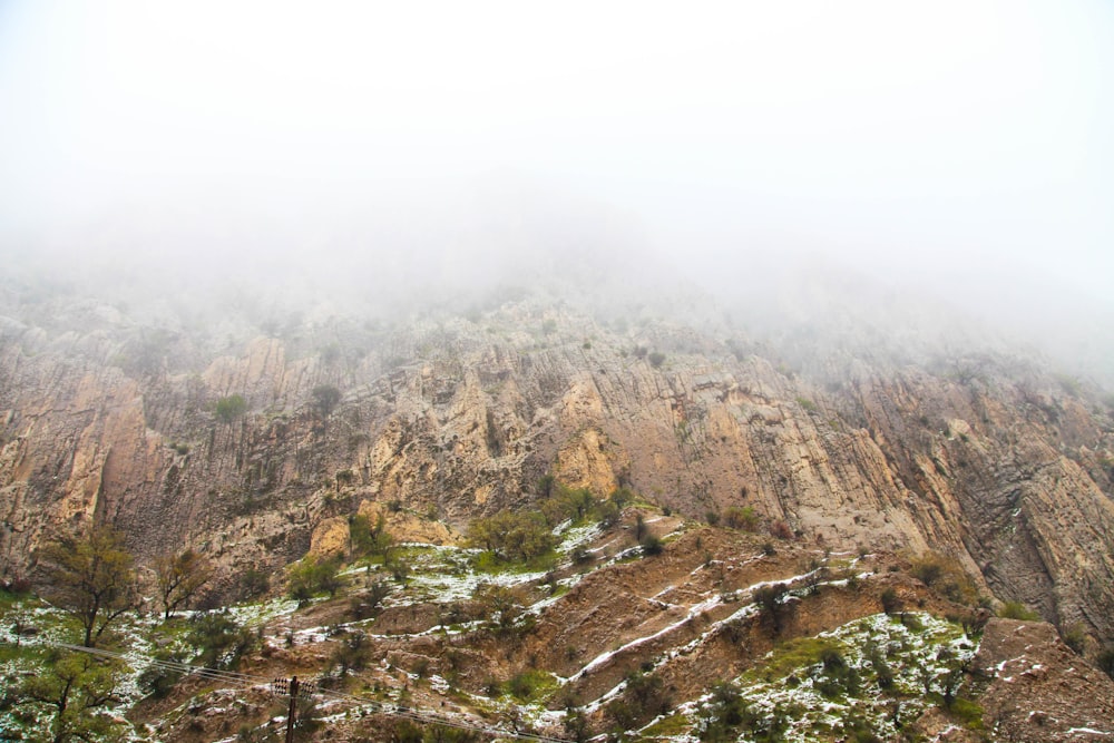 brown and green mountains under white sky during daytime