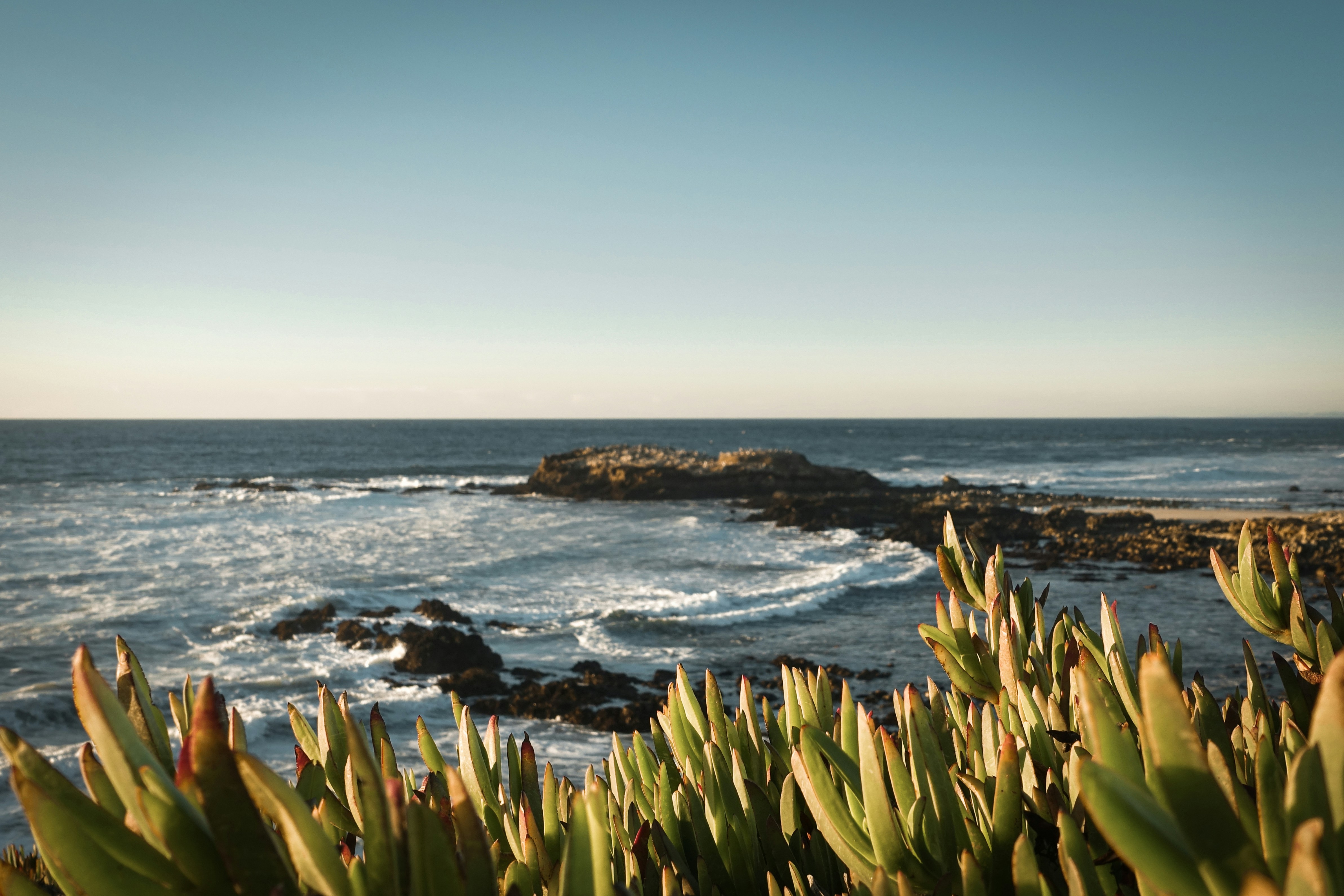 4. 実践レポート：美容鍼でクマ対策を試してみた結果