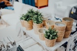 Neatly arranged shelves with baskets and plants in a cozy corner.