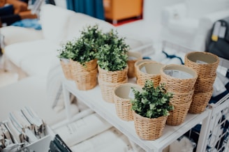 Collection of straw and wicker decorative bowls on a shelf.