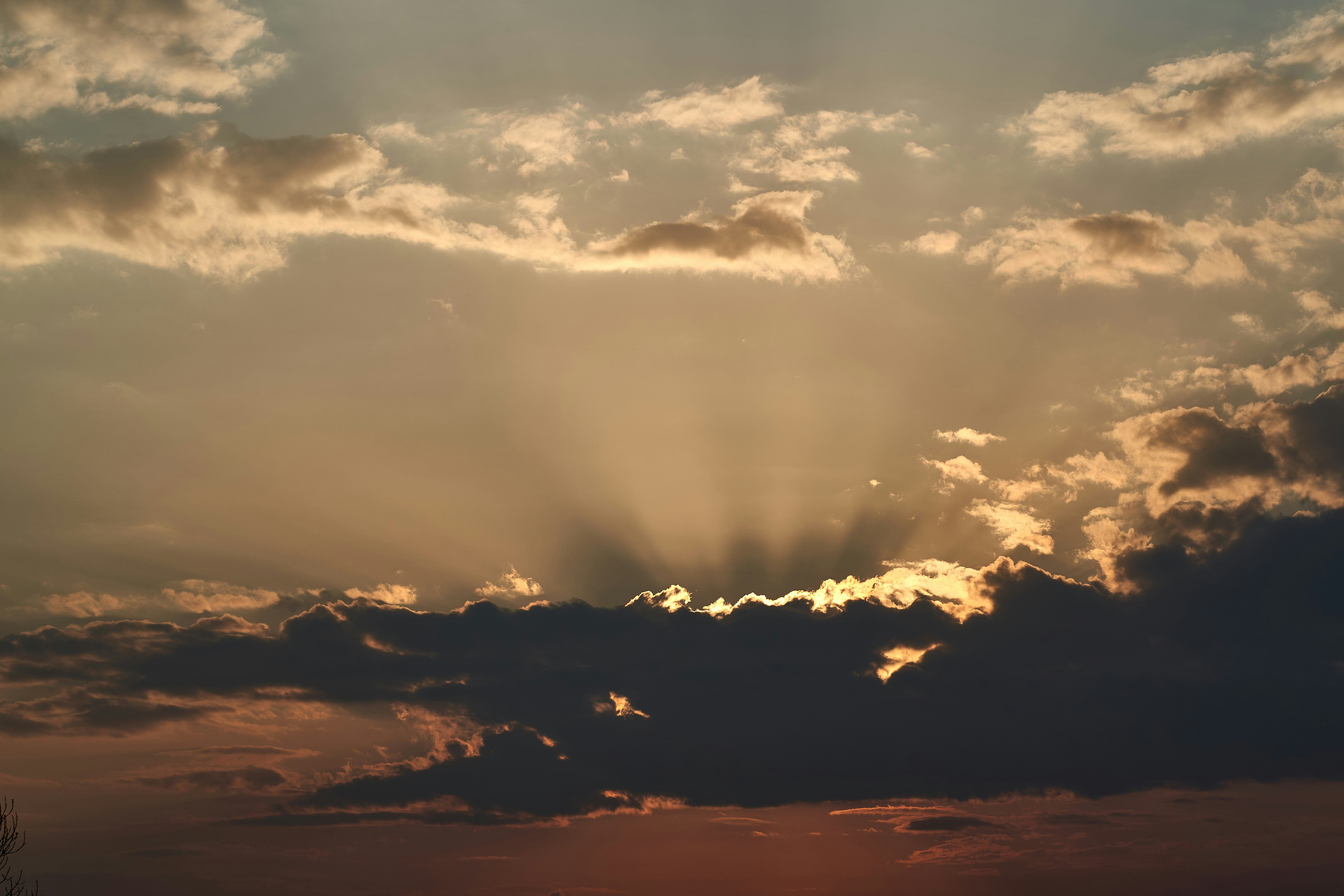 Photo by wolfgang_hasselmann