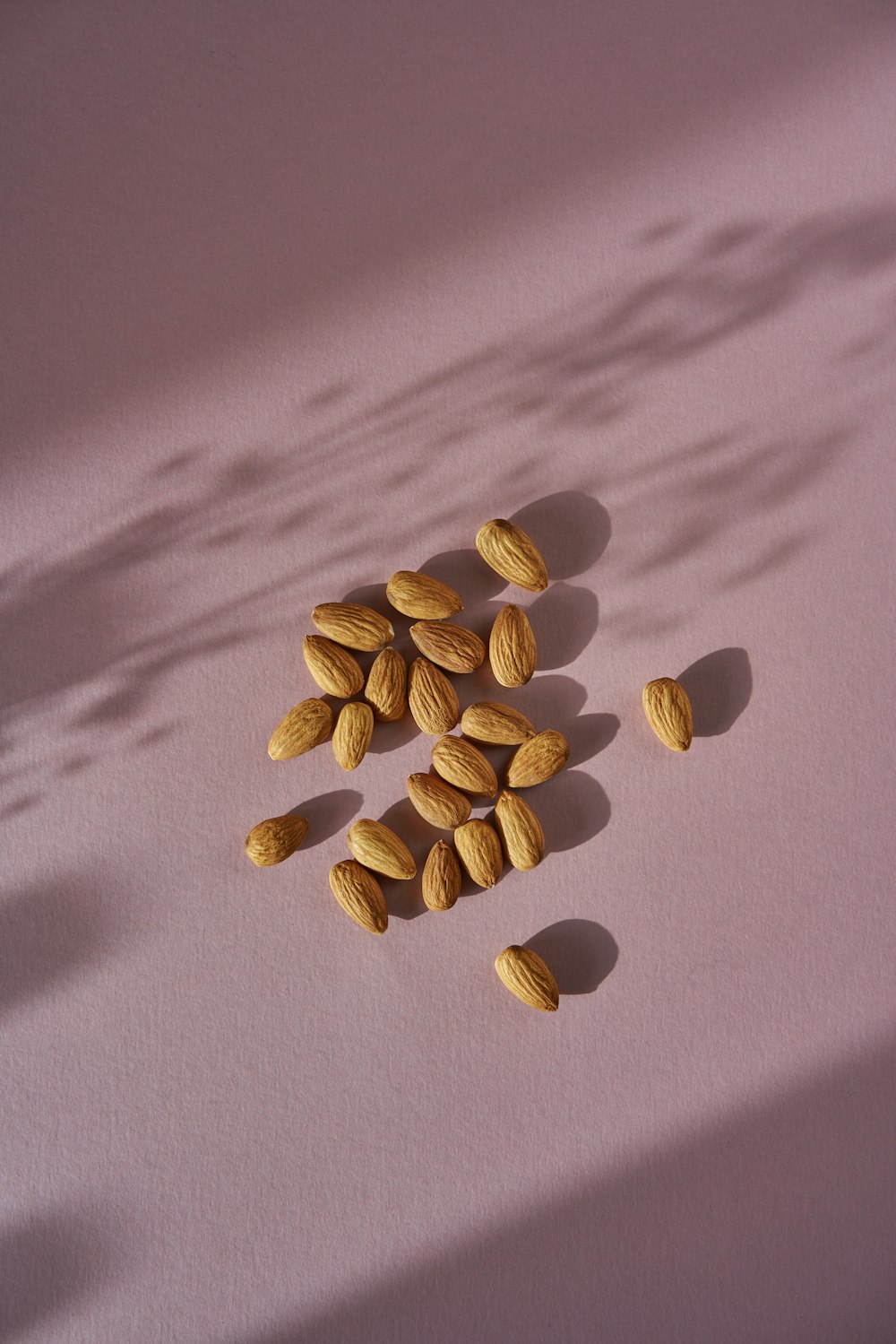 brown seeds on white textile