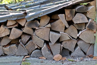 A neatly stacked pile of cut firewood is sheltered under a corrugated metal roof. The wood logs are arranged in a compact manner with visible growth rings and bark, showing different shades of brown and grey. Some dried leaves and moss can be seen around the base, adding to the rustic outdoor setting.
