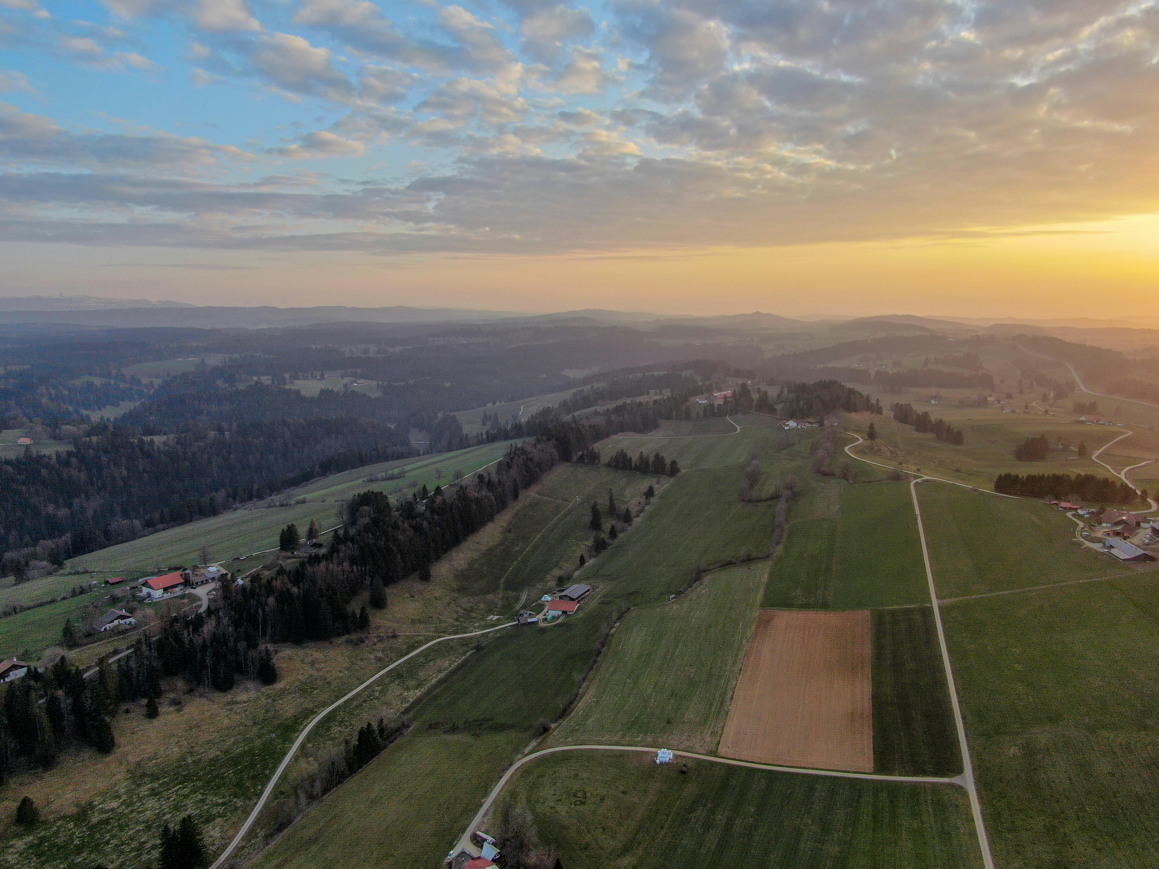 昼間の青空に映える緑の芝生