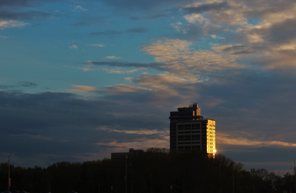 silhouette of trees and buildings during sunset