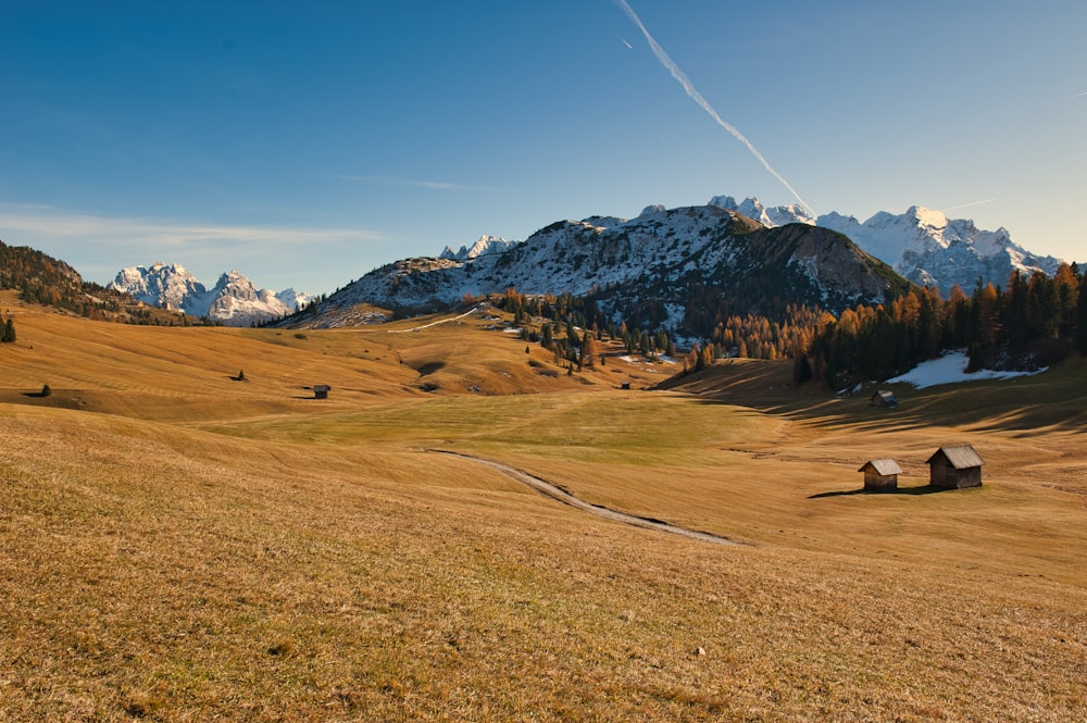 brown and gray mountains under blue sky during daytime