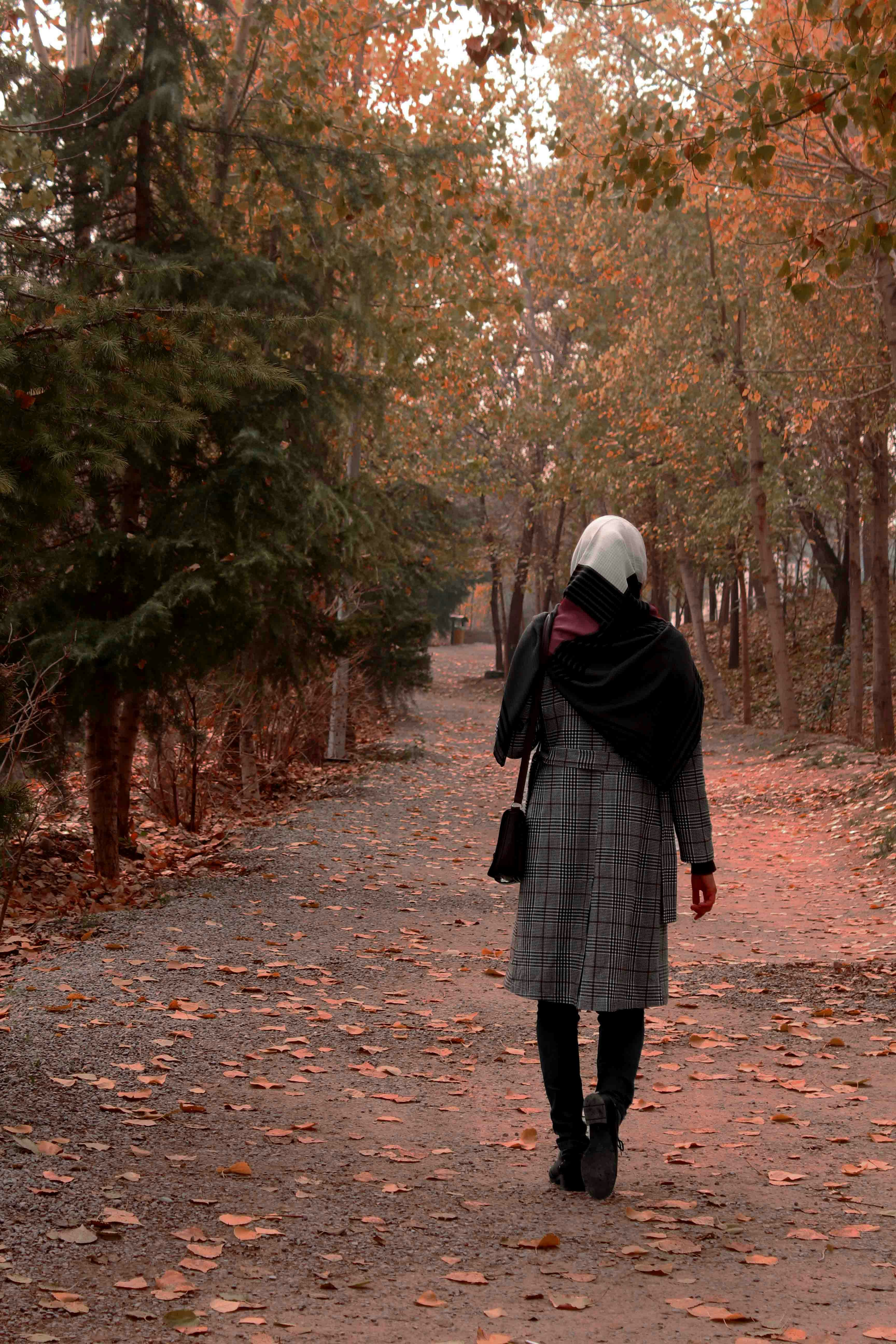 Photo by negaradhami