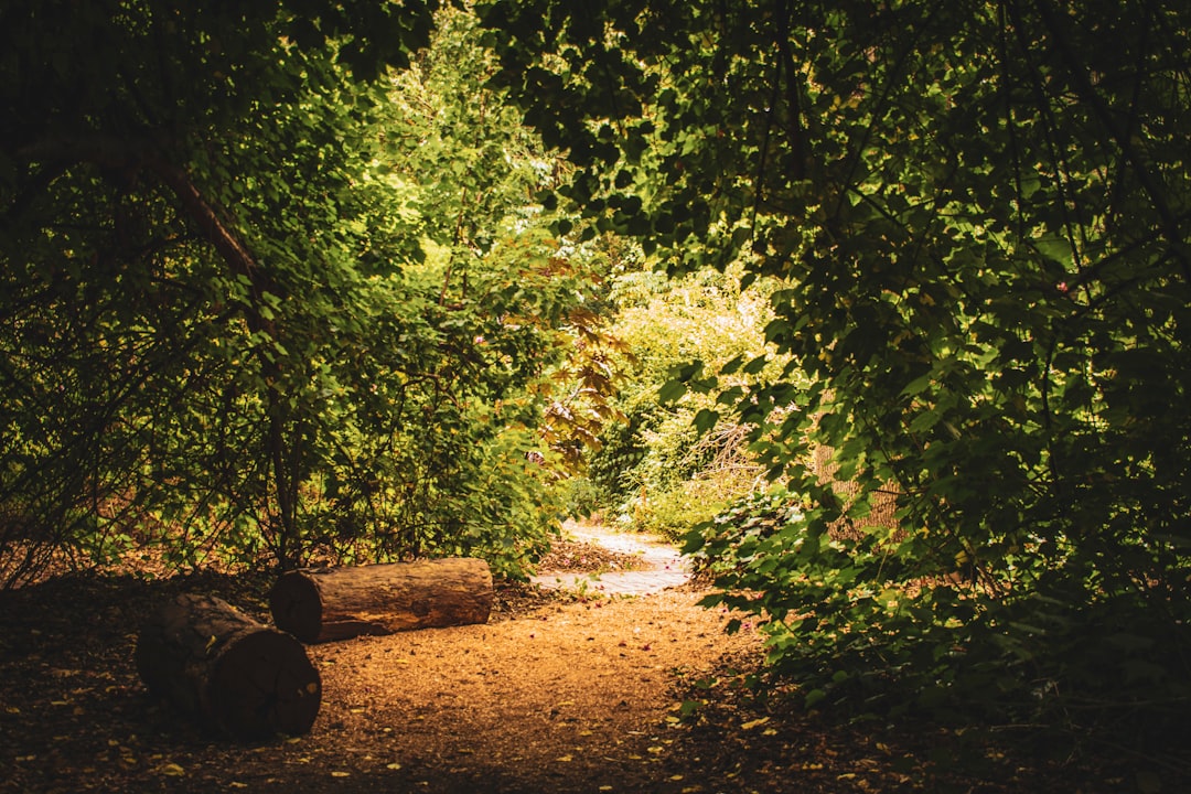 Nature reserve photo spot Adelaide CBD Adelaide