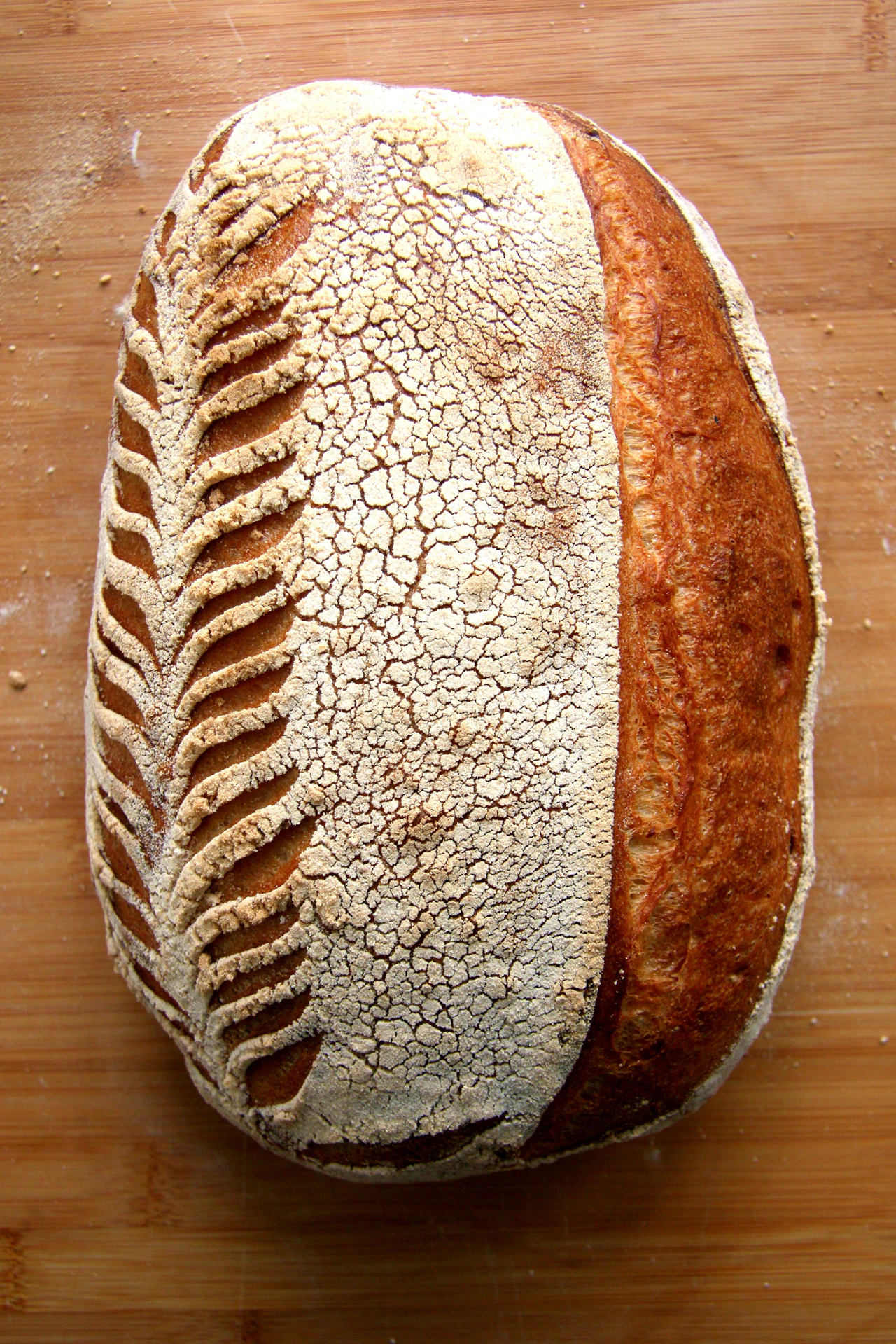 Top-down view of a floured, scored sourdough loaf on a wooden board.