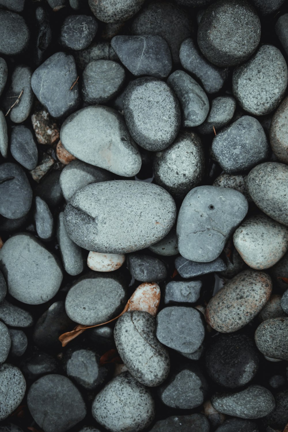 gray and black stones on water