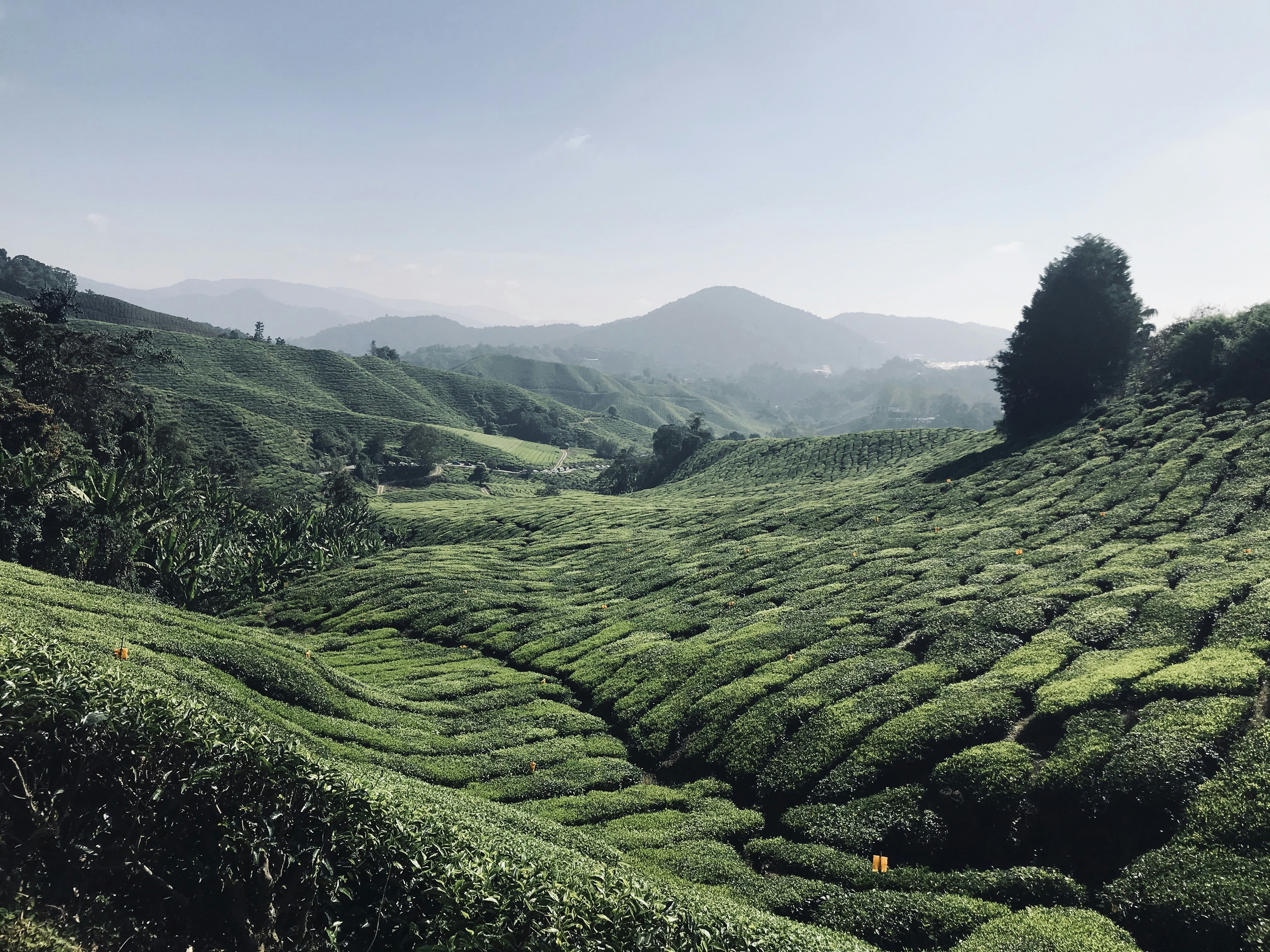 Konsekuensi Pajak Bagi Penjual Manipulasi Nilai Jual Beli Properti Tanah dan Bangungan
