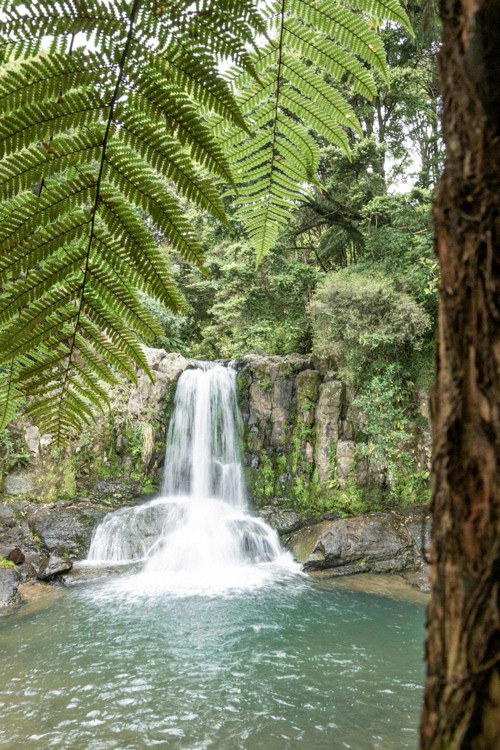 a small waterfall in the middle of a forest