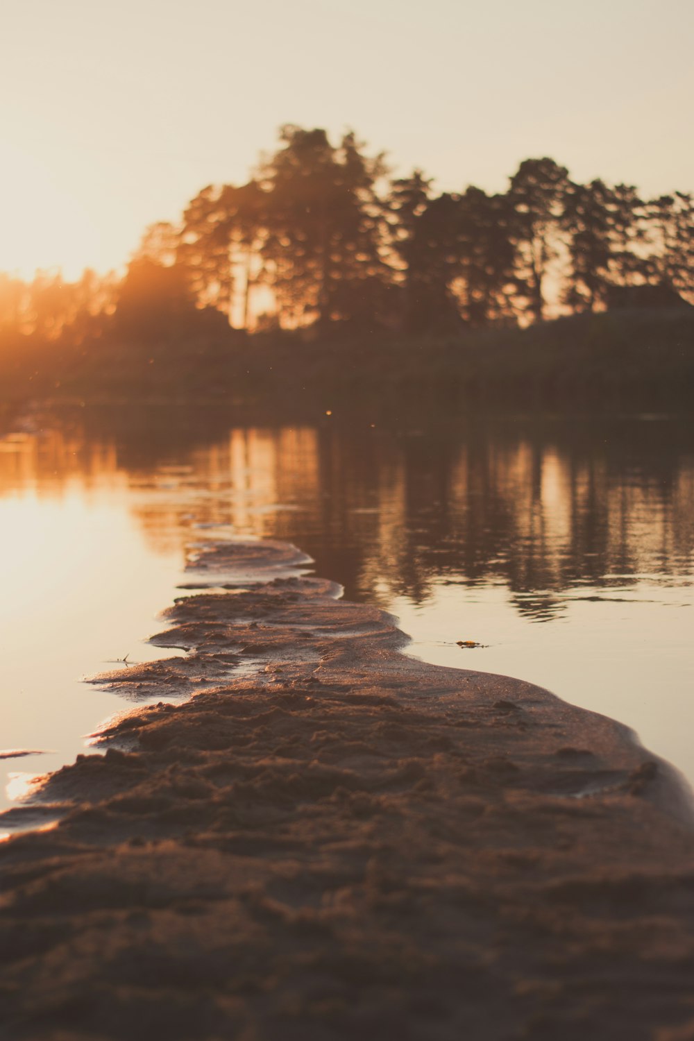 body of water near trees during sunset