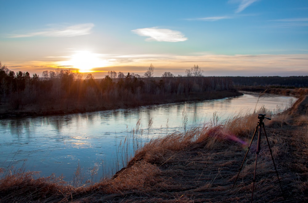 body of water near green grass during sunset