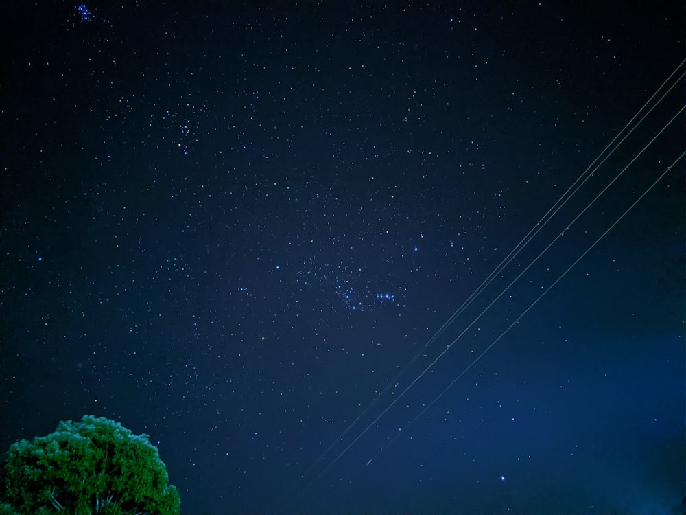 green tree under blue sky during night time