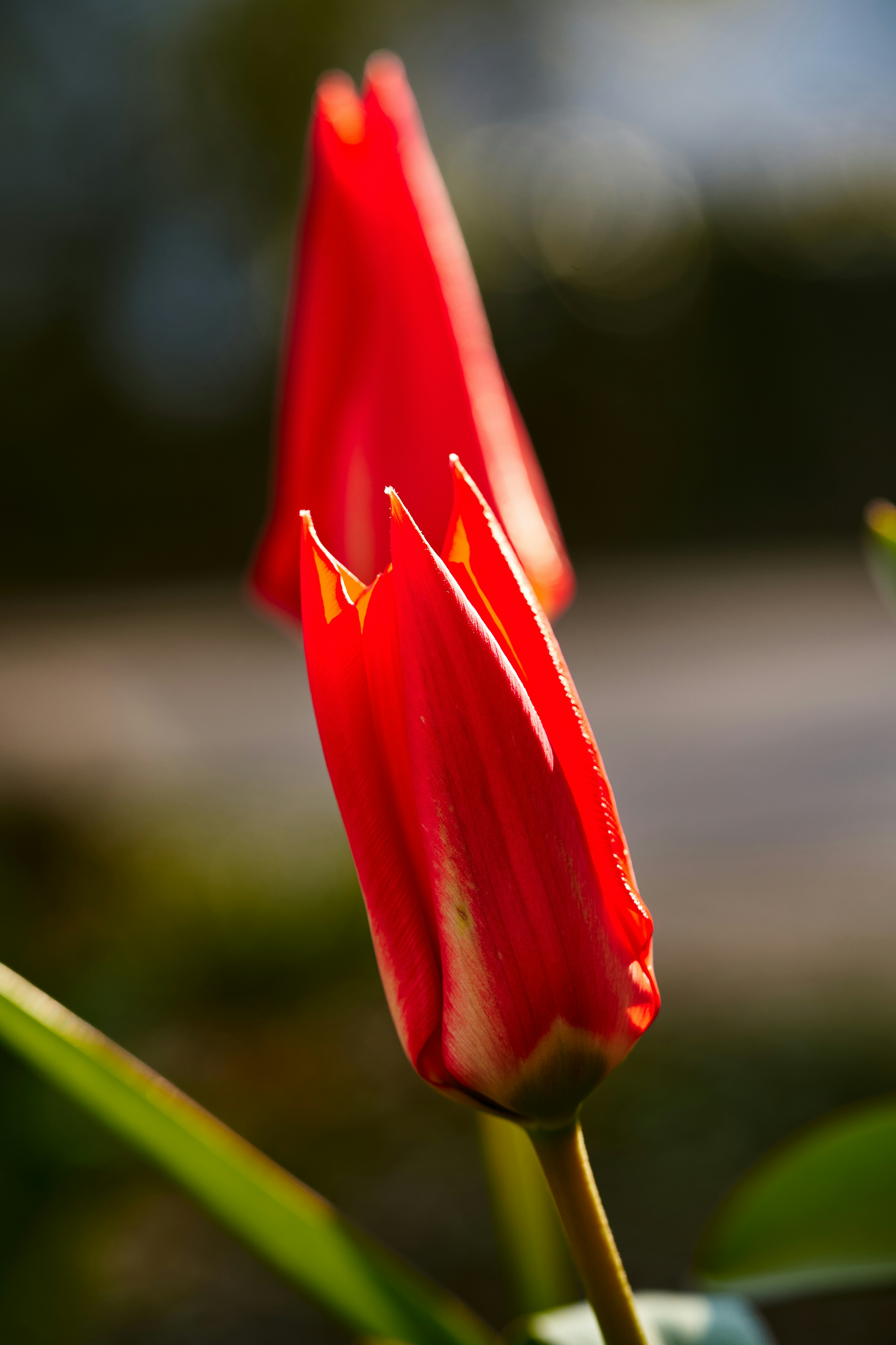 Photo by ingodoerrie