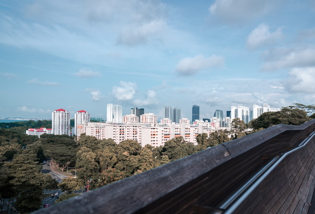 Skyline photo spot MacRitchie Reservoir Singapore Island