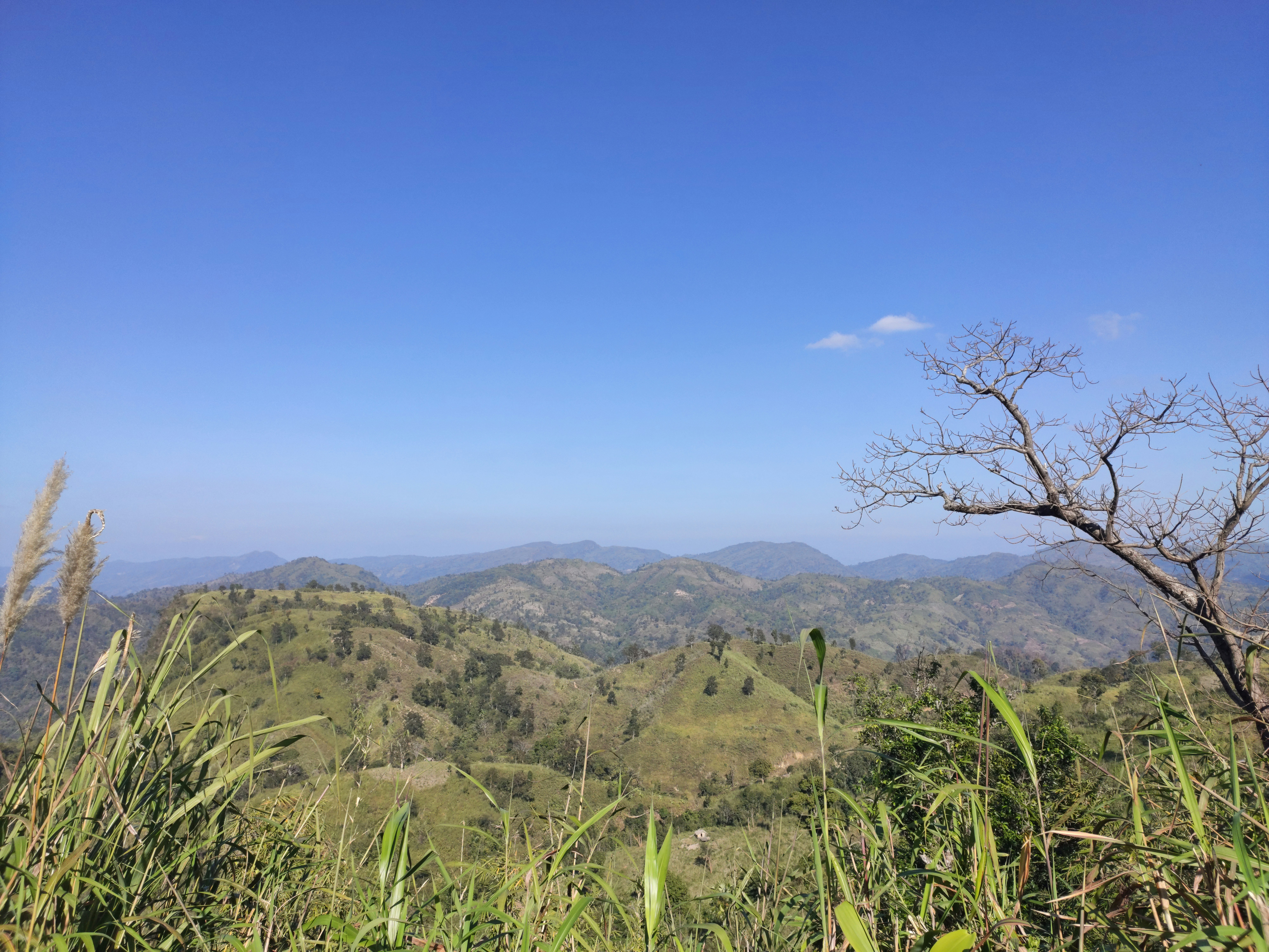 Photo by prithibee_parkesthetic