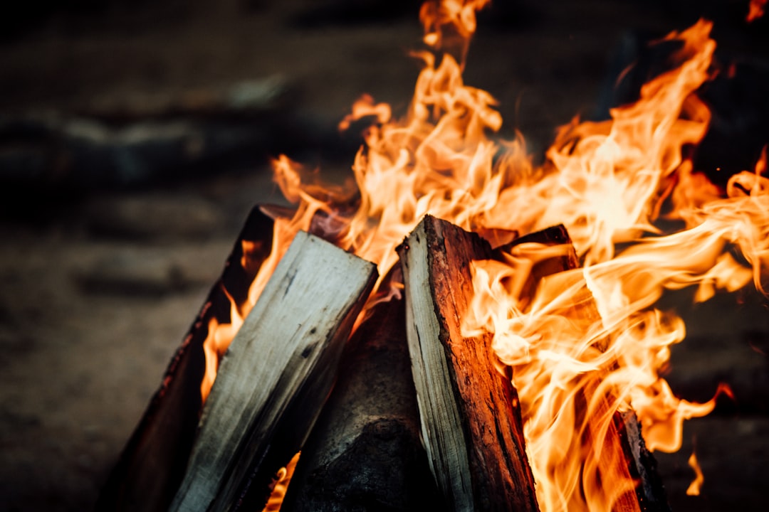 fire on brown wooden log