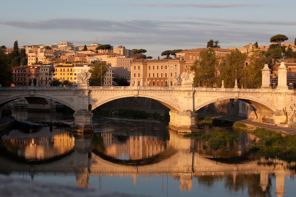 brown concrete bridge over river during daytime