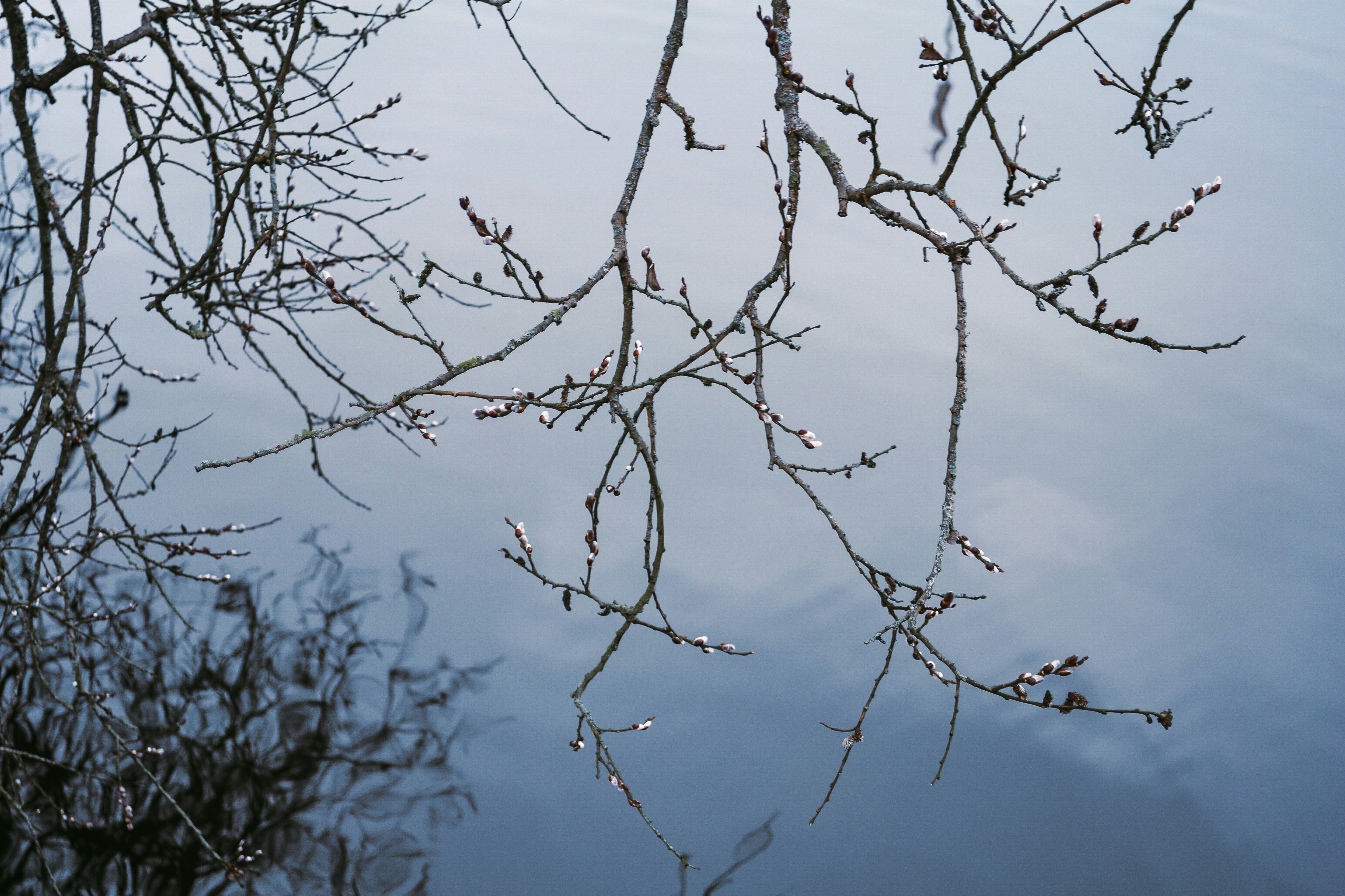 Photo by walking_abby