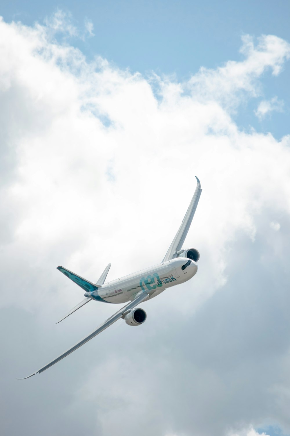 昼間の白い雲の下の白と青の飛行機