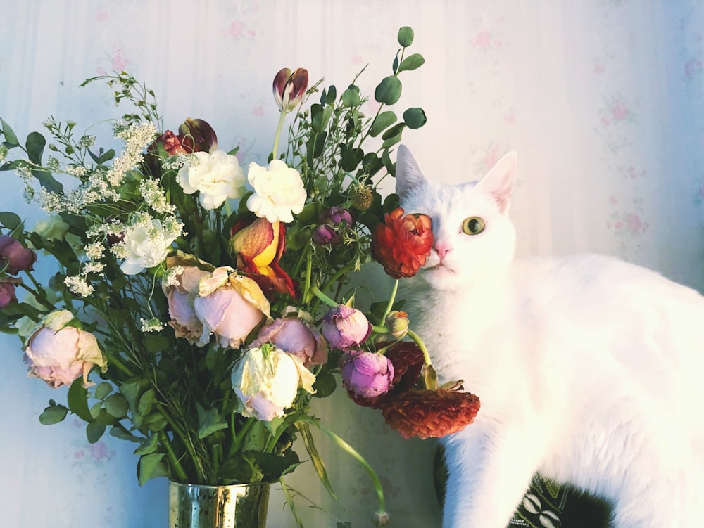 white cat on flower vase