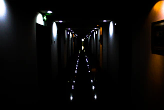 Dimly lit corridor with flickering lights and eerie shadows in a haunted house setting